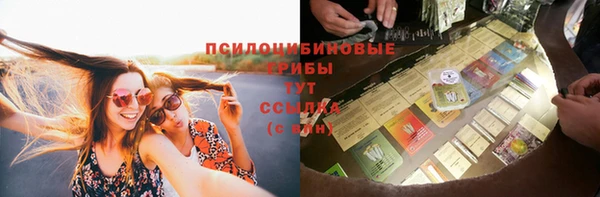 крисы Горняк