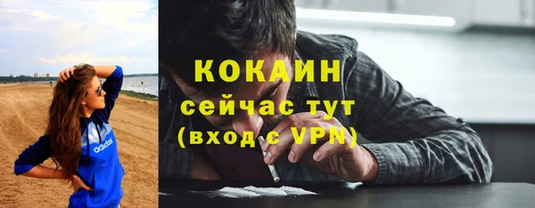 крисы Горняк