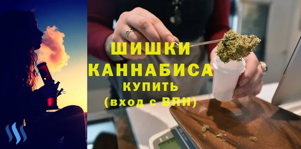 крисы Горняк