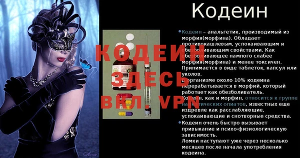 крисы Горняк