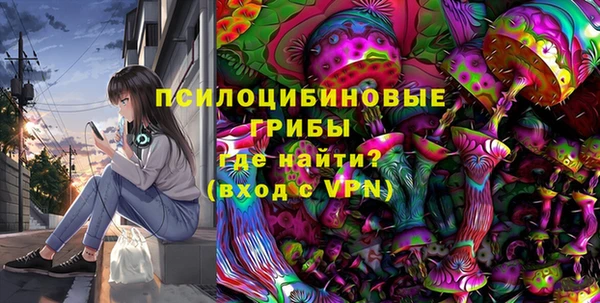 крисы Горняк