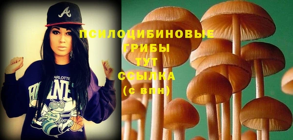 крисы Горняк