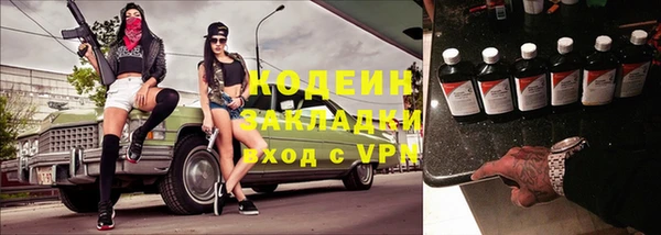 крисы Горняк