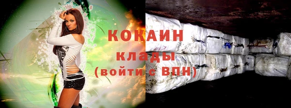 крисы Горняк