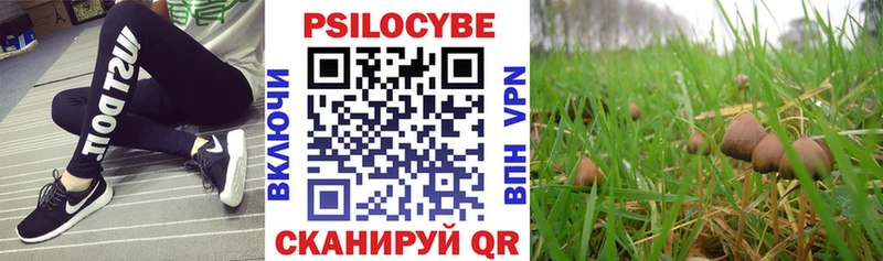 Галлюциногенные грибы Cubensis  hydra онион  Облучье  где можно купить наркотик 